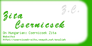 zita csernicsek business card